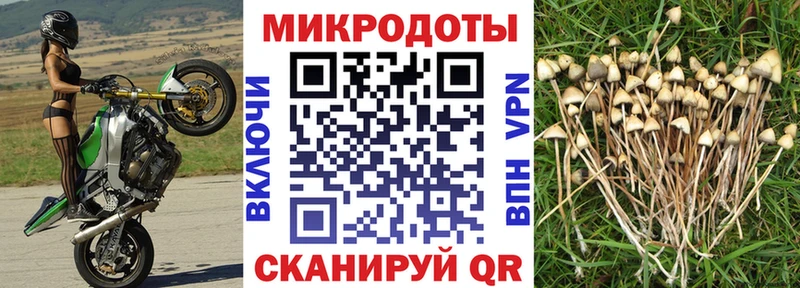 Псилоцибиновые грибы Magic Shrooms  Бакал 